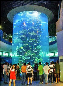 辦公室裝修,歐萊雅辦公室