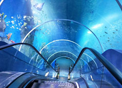 辦公室裝修實景圖04