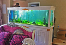 定做實木魚缸
