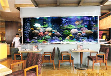 定做水族箱