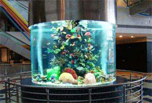 定做圓柱形魚缸